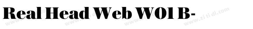 Real Head Web W01 B字体转换